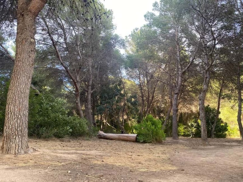 Albufera Bike Adventure: Wetlands, Beaches & Biodiversity - What to bring and how to prepare