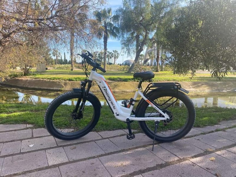 Albufera Bike Adventure: Wetlands, Beaches & Biodiversity - Pinedo and the first coastal miles