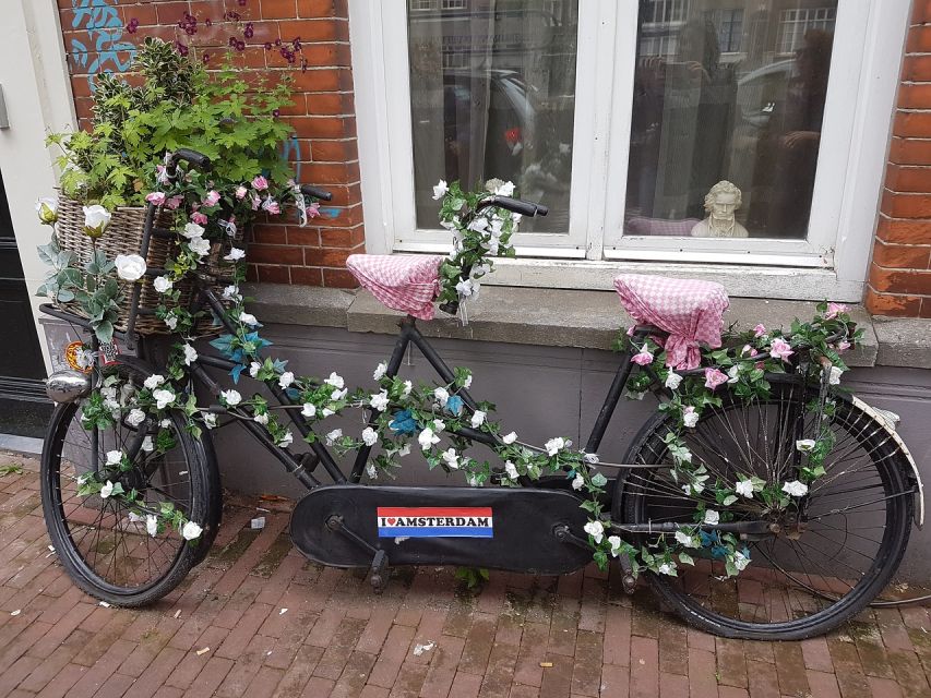 Amsterdam: 3-hour Countryside Bike Tour - Booking details that matter