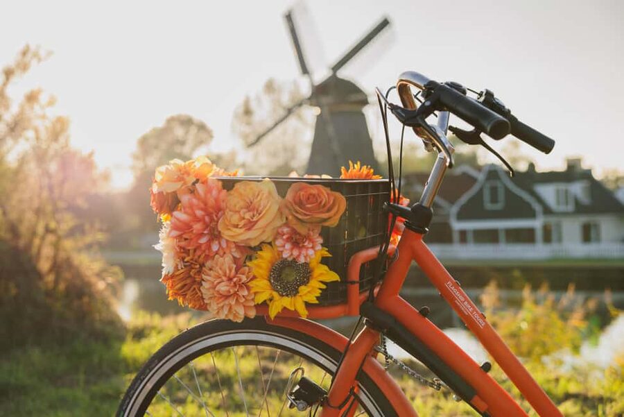 Amsterdam: Cheese Tasting, Windmill & Countryside Bike Tour - What the $46 price gets you