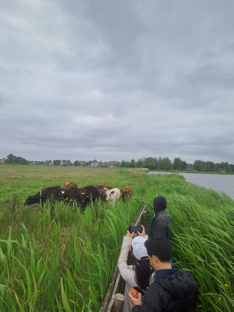 Amsterdam: Countryside Bike and Kayak Guided Tour - Key points at a glance