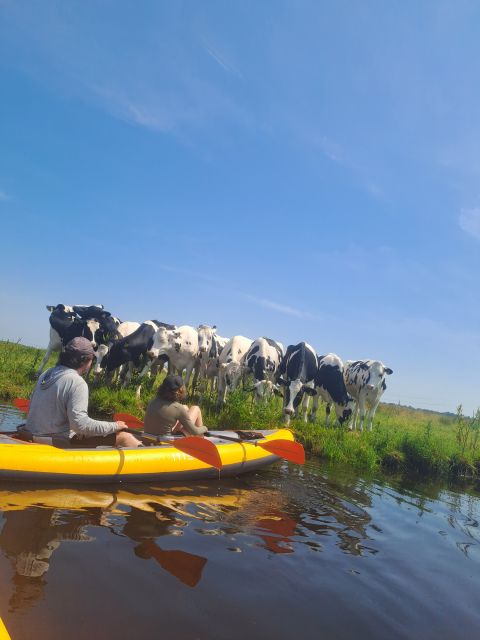 Amsterdam: Countryside Bike and Kayak Guided Tour - Who should book this tour?