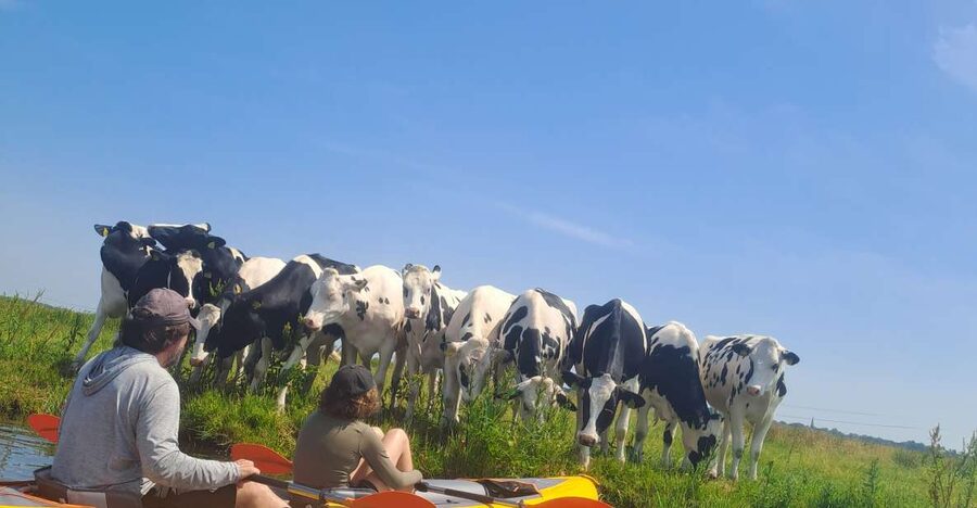 Amsterdam: Countryside Bike and Kayak Guided Tour - Starting beside ADAM Lookout