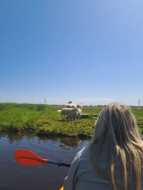 Amsterdam: Countryside Bike and Kayak Guided Tour - Two hours on the waterways of Broek in Waterland