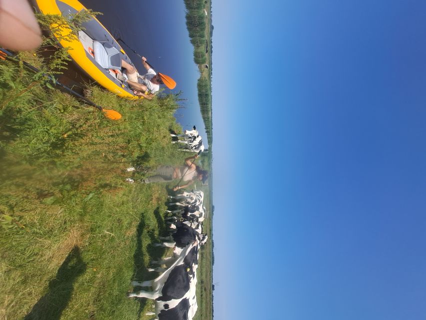 Amsterdam: Countryside Bike and Kayak Guided Tour - A worthwhile pause in the middle of the day