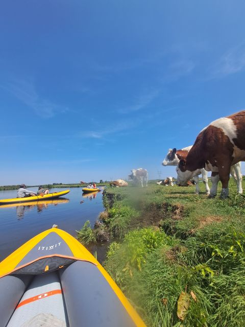 Amsterdam: Countryside Bike and Kayak Guided Tour - Wildlife, farm life, and the real Dutch countryside