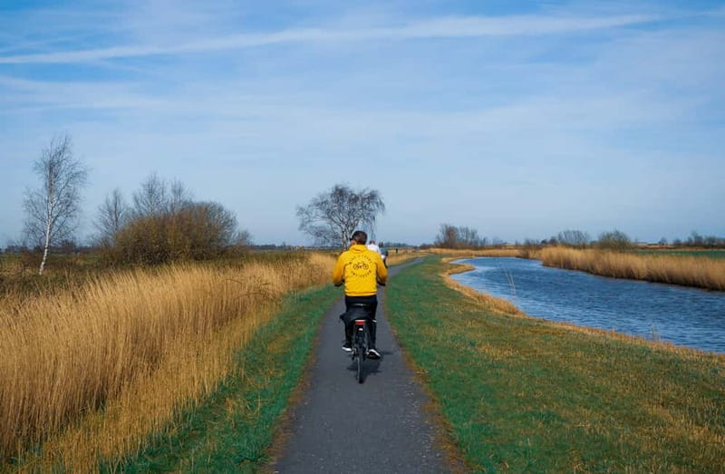 Amsterdam: Leisurely Windmill & Countryside Bike Ride - What the $51 price gets you