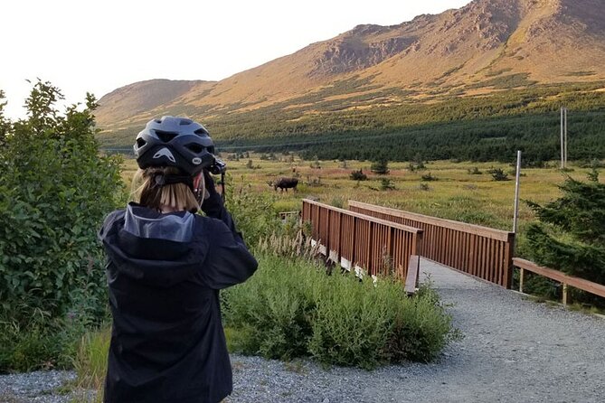 Anchorage Scenic Mountain Bike Tour - From Downtown Anchorage to the Glen Alps Trailhead