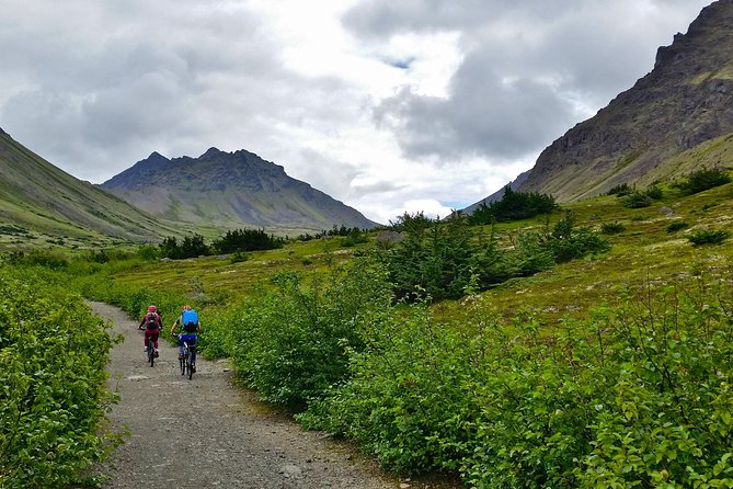 Anchorage Scenic Mountain Bike Tour - What the Terrain Feels Like in Different Weather