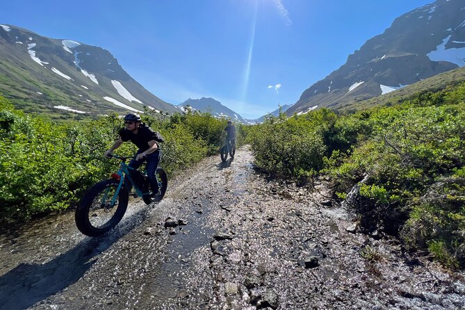 Anchorage Scenic Mountain Bike Tour - Why the Six-Person Limit Helps