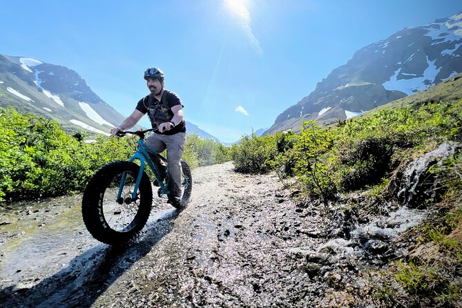 Anchorage Scenic Mountain Bike Tour - Guide Skill and Trail Support