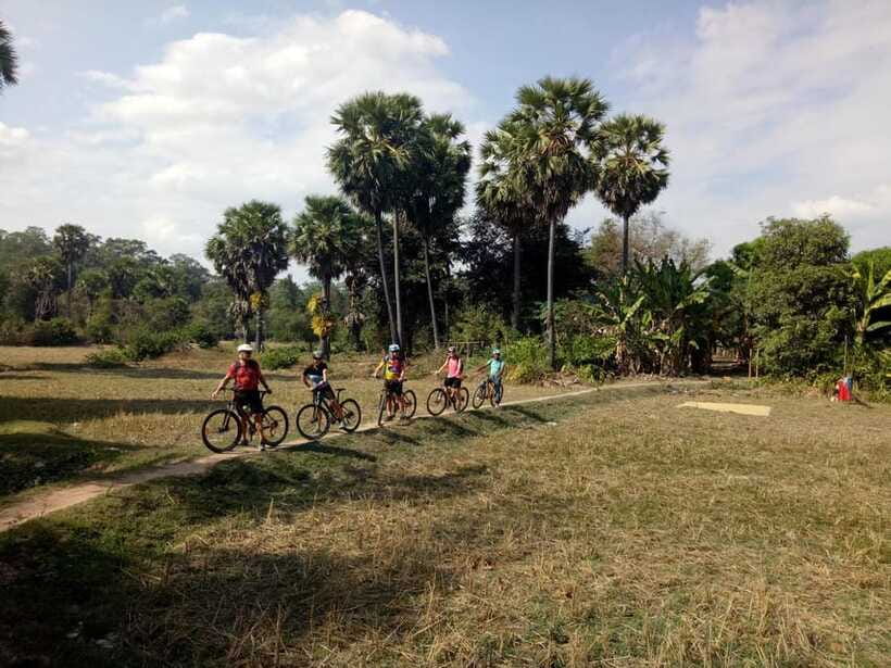 Angkor Cycling Tour - Ta Prohm and the Jungle-Ruin Encounter