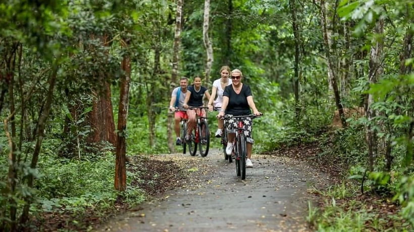 Angkor Jungle Biking Adventure Private Cycling Tour - Ta Prohm and the drama of tree-covered ruins