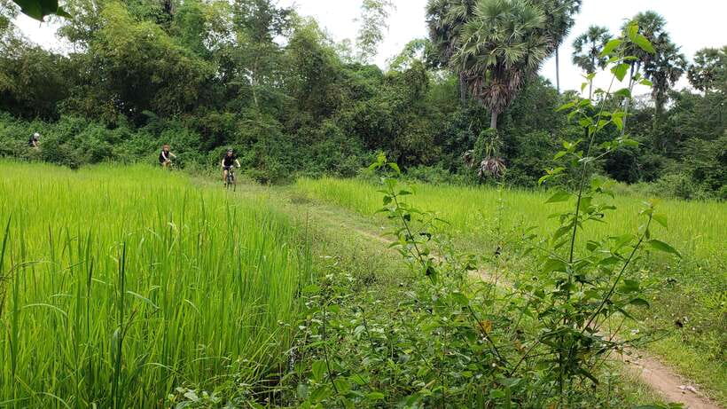 Angkor Jungle Biking Adventure Private Cycling Tour - Ta Nei, the quiet stop in the trees