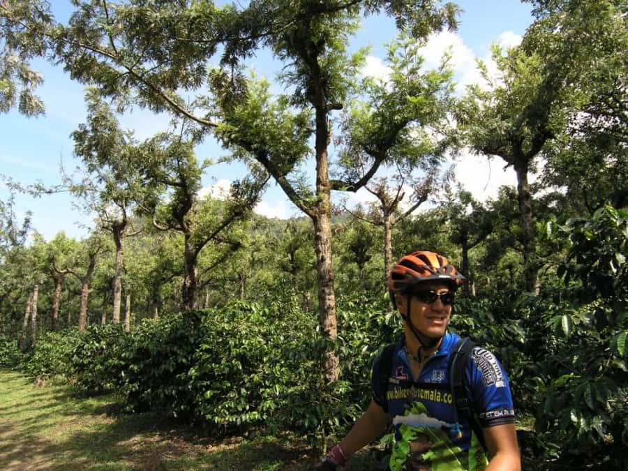 Antigua Sip 'n Cycle Half-Day Bike Ride and Coffee Tour - Tasting Guatemalan coffee blends