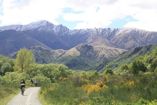 Arrowtown Mountain Bike Hire - What comes with the bike