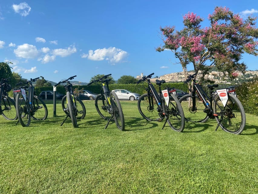 Assisi to Spello Bike & Wine Tour - FAQ