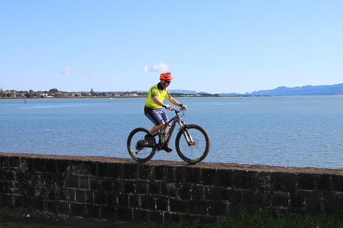 Auckland Half Day E-Bike Excursion - Henderson River and Opanuku stream