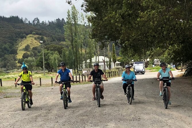 Auckland Half Day E-Bike Excursion - What the private format changes