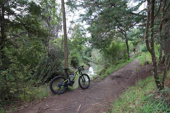 Auckland Half Day E-Bike Excursion - Fitness, comfort, and weather