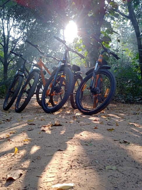 Auroville: Nature Trail Forest Cycling Adventure - Key points to know before you book