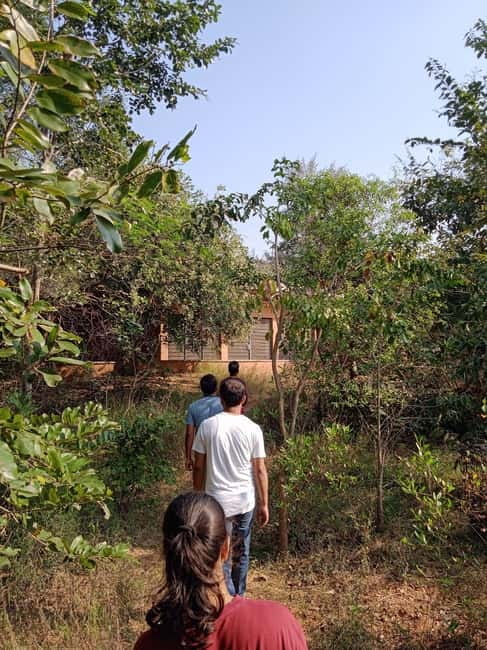 Auroville: Nature Trail Forest Cycling Adventure - Why this three-hour outing feels different from a normal bike ride