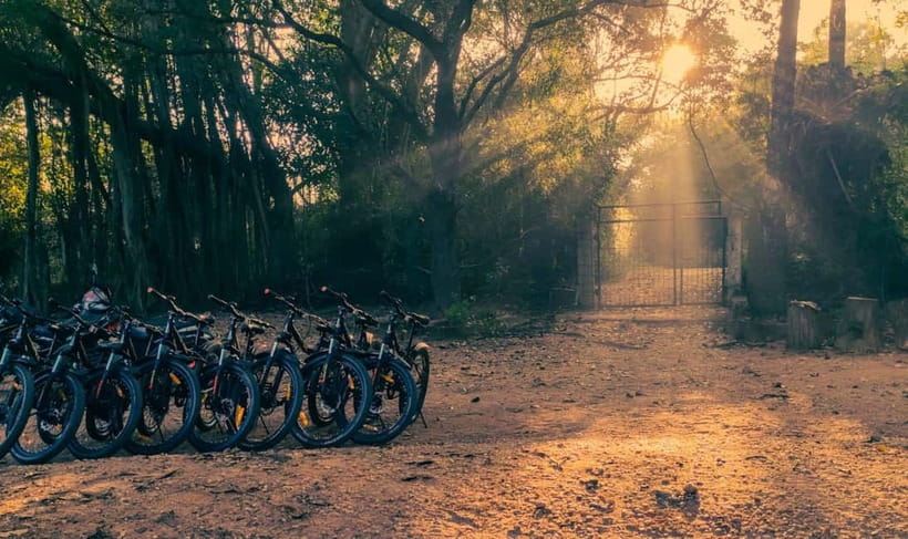 Auroville: Nature Trail Forest Cycling Adventure - The first 45 minutes on Poothurai Road