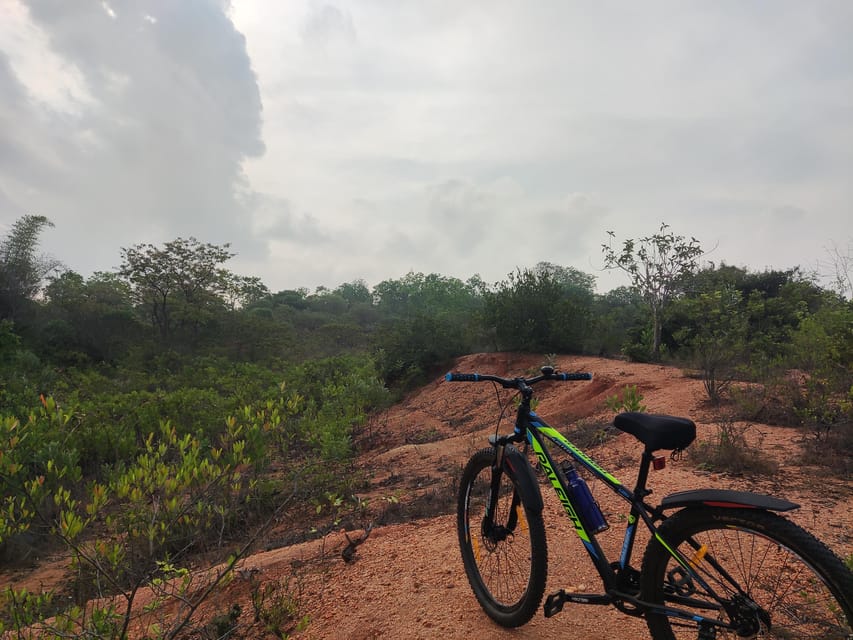 Auroville: Nature Trail Forest Cycling Adventure - Should you book the Auroville forest cycling adventure?