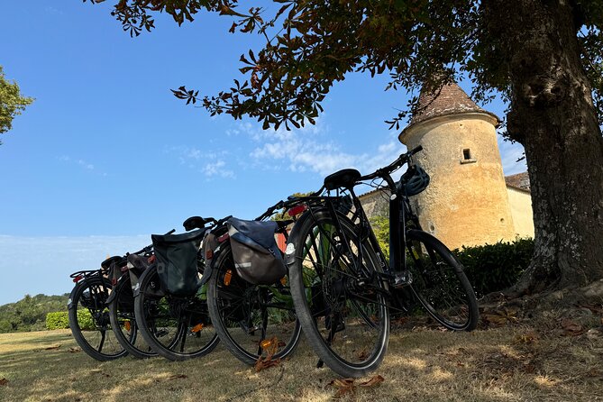 Backcountry E-Bike Adventure from Bordeaux: Wine Tasting & Lunch - Why this e-bike route shows you more of Bordeaux
