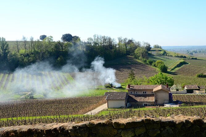 Backcountry E-Bike Adventure from Bordeaux: Wine Tasting & Lunch - What the guide and group size add