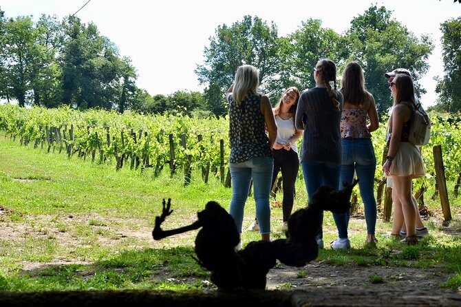 Backcountry E-Bike Adventure from Bordeaux: Wine Tasting & Lunch - Who will enjoy this Bordeaux adventure most