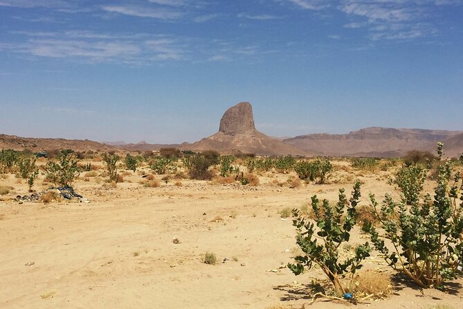 Baja Desert and Beach Electric Bike Adventure with Buffet - A Baja ride with two very different settings