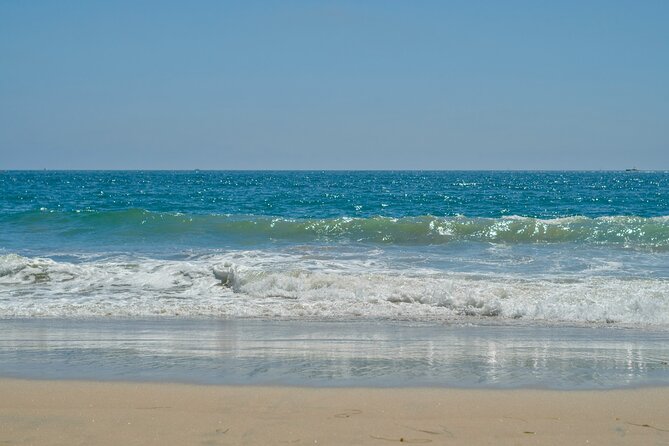 Baja Desert and Beach Electric Bike Adventure with Buffet - Tierra Sagrada: cactus, rock, and open Baja terrain