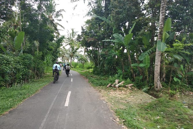 Bali Amazing Cycling Tour - Rice terraces and a first look at Balinese farming