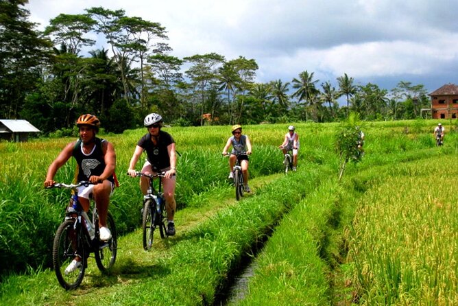 Bali Bike Adventure Tour - Key points at a glance
