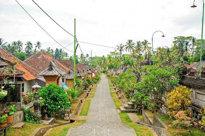 Bali Bike Adventure Tour - Meeting Bali Aga traditions in Penglipuran Village
