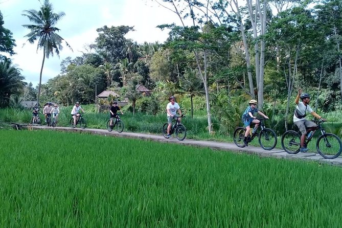Bali Countryside Cycling Adventure - Rice paddies and the Taman Bali water temple