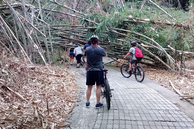 Bali Countryside Cycling Adventure - Lunch, drinks, and the ride back