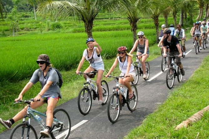 Bali Countryside Cycling Tour by Halo Bike Tour - Leaving Kuta for Bali’s quieter side