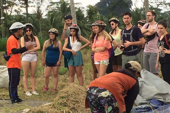 Bali Countryside Cycling Tour by Halo Bike Tour - What the route offers families
