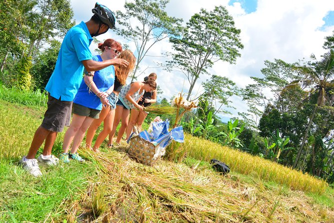 Bali Countryside Cycling Tours - Tegalalang Rice Terrace and Balinese farming