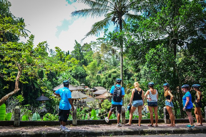 Bali Countryside Cycling Tours - Fitness, bikes, weather, and family suitability