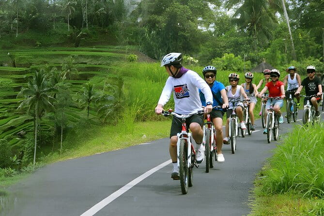 Bali Countryside Eco Cycling Tour include Lunch - How much value do you get for $78.21?