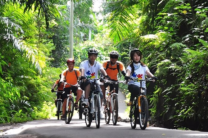 Bali Cycling Adventure and Uluwatu Sunset Tour with Kecak Dance - Jimbaran seafood after dark