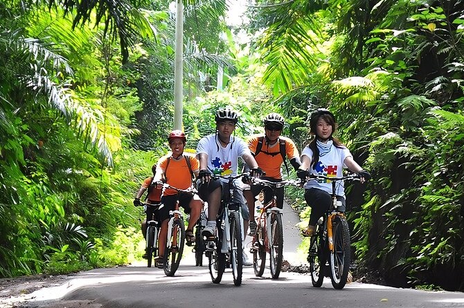 Bali Cycling and Jungle Swing Adventure Experience - Coffee, Balinese cake, and a quick start