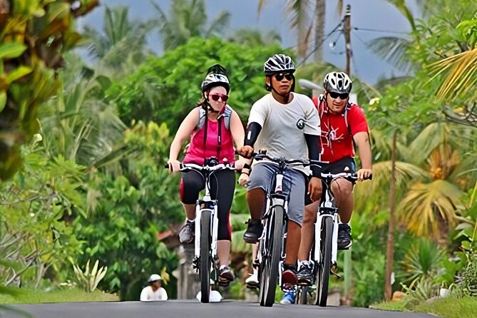 Bali Cycling and Ubud Tour Packages: A Thrilling Adventure - Ubud Monkey Forest, with a practical warning