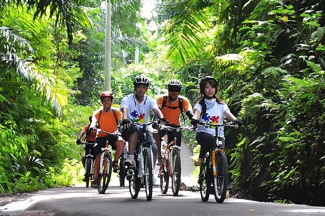 Bali Cycling and Ubud Tour Packages: A Thrilling Adventure - Tegenungan Waterfall closes the sightseeing day