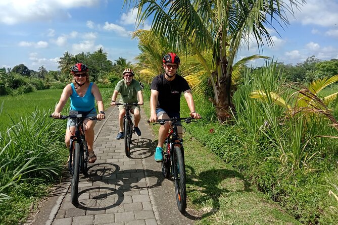 Bali Cycling and Ubud Tour Packages: A Thrilling Adventure - What the $100 price includes