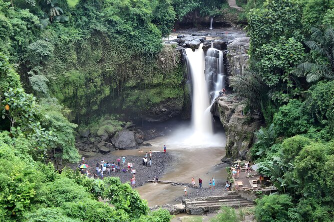 Bali Cycling and Ubud Waterfall Tour - Why the downhill ride makes this Bali tour appealing