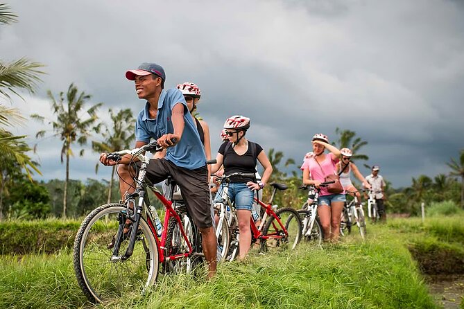 Bali Cycling and Ubud Waterfall Tour - What the private format and $90 price really cover